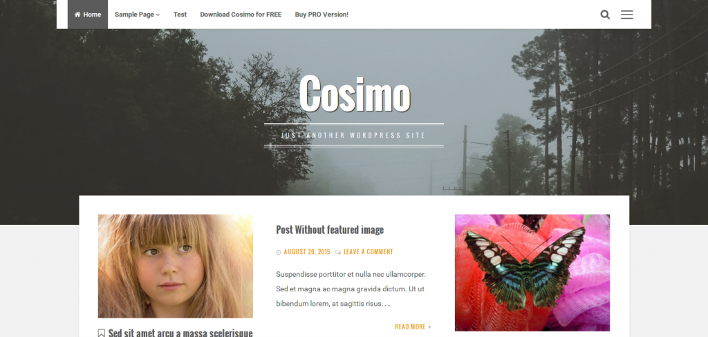 Cosimo WordPress Theme