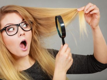 Budowa włosa – czyli z czego składa się włos