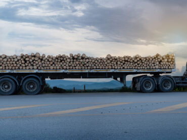 Zabudowy do transportu drewna