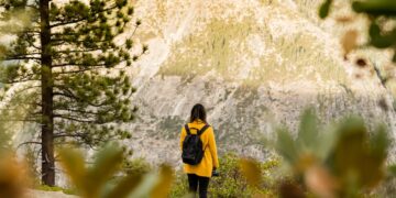 softshellowa kurtka damska