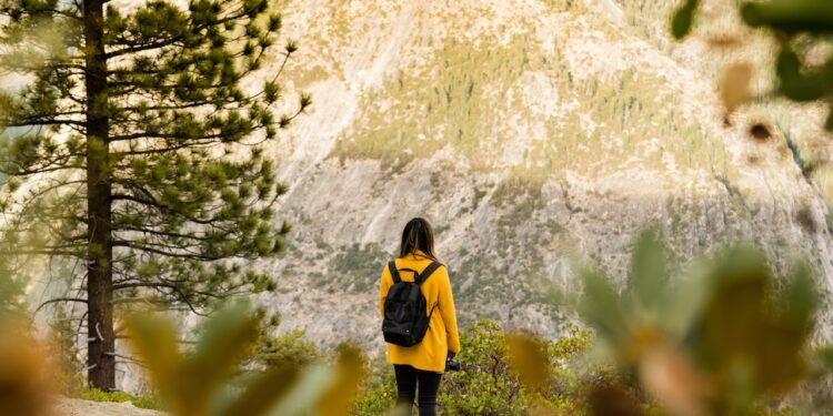 softshellowa kurtka damska