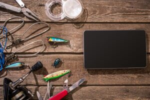 Czy echosondy Raymarine są dobre?