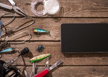 Czy echosondy Raymarine są dobre?